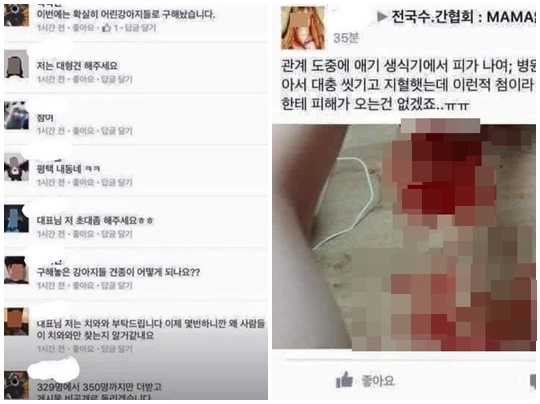 이번에는 확실한 어린 강아지들로 구해놓겠다”…수간협회 국민청원 마감-국민일보
