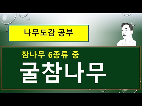 굴참나무 vs 상수리나무 vs 떡갈나무 vs 밤나무 : 무엇이 서로 다를까?