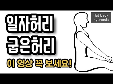 일자허리, 굽은허리 허리만 펴지마세요 이 교정운동 방법만 따라하세요