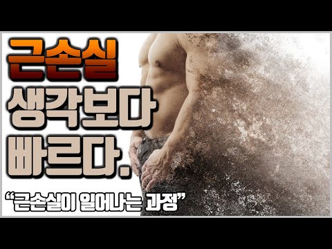 근손실의 발생 기전과 근손실을 막는 방법