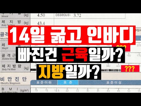 [번외] 14일 굶으면 근손실 나나요? 단식 전후 인바디 비교!