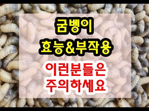 굼벵이 효능과 부작용 잘 알고 드셔야해요~