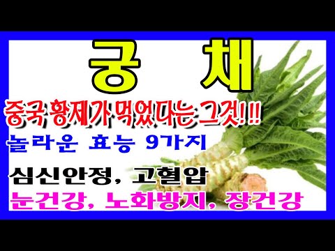 🥬궁채의 효능🥬 중국 황제가 먹었다는 귀한 음식 뚱채 라고도 부릅니다. 궁채 효능 먹는법,  궁채요리법, 궁채장아찌, 궁채나물볶음,