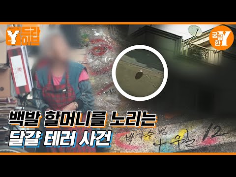 🥚달걀 테러 사건, 할머니를 노리는 테러범의 정체는 | Y드라이브