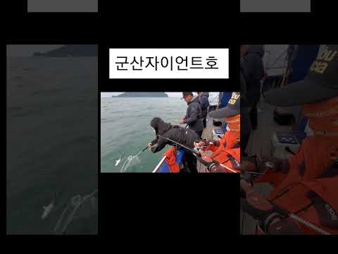 군산 아부가르시아 참돔대회 전북낚시사랑밴드장 익산조사 랜딩영상 군산자이언트호