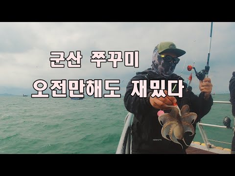 군산 쭈꾸미 오전배 낚시