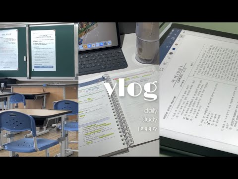 군시생 vlog • 시험 전후 일상 | 2022 군무원 시험 가채점하기 | 행정 9급 | 집공생활