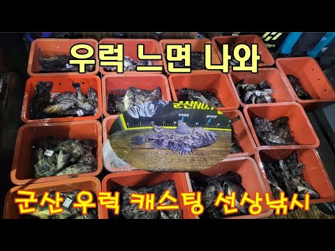 지금 군산에는 우럭이 쏟아집니다 #우럭 #우럭캐스팅#대호피싱