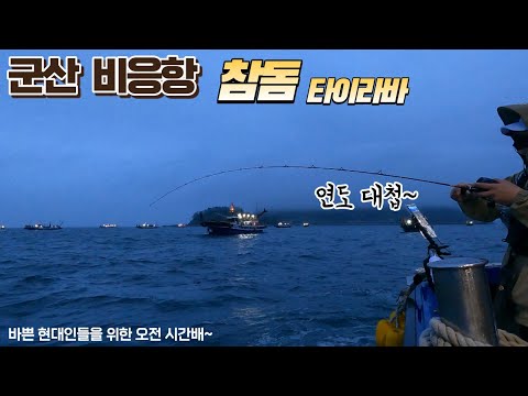 5월6일 군산 비응항 참돔 타이라바 선상낚시 오전 시간배 [베스트호]