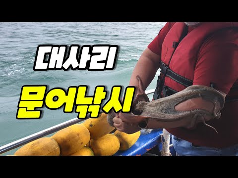 문어 낚시 처음 가는 날 - 군산 비응항 낚시대통령 벤틀리호