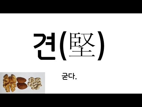 견(堅) - 굳다. [한글 어휘]