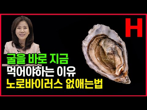 굴의 효능과 부작용. 이런 효능까지 있다고?!  식중독 없이 굴 먹는 법 대공개!