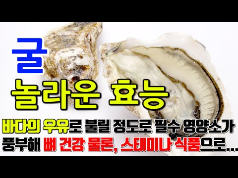 굴의 놀라운 효능 7가지 & 부작용 / 바다의 우유라 불릴 정도로 칼슘, 아연 등 필수영양소가 풍부해 뼈건강 물론 스태미나 식품으로도 꼽히고 있습니다.