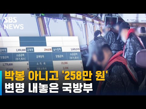 박봉에 쏟아진 불만…국방부 '기적의 계산법'에 또 분통 / SBS / 뉴블더