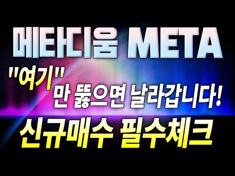 메타디움 META ＊