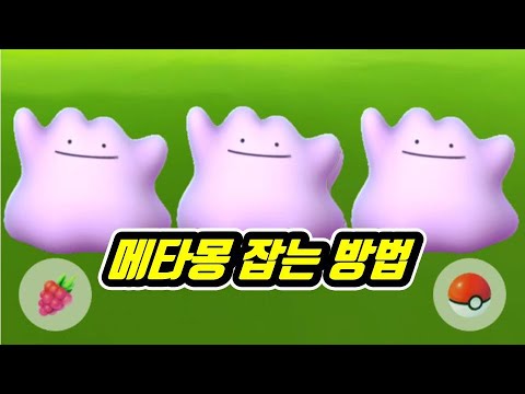 포켓몬고 메타몽 스캐너! 메타몽 위치 확인, Ditto Scanner | Pogo Club