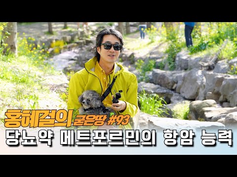 홍혜걸의 굳은땅 #93