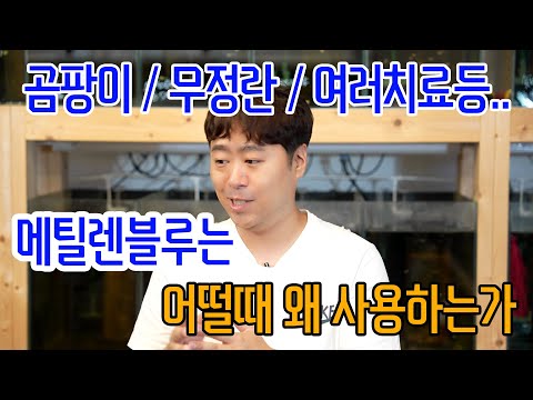 메틸렌블루는 언제 사용하는것인가