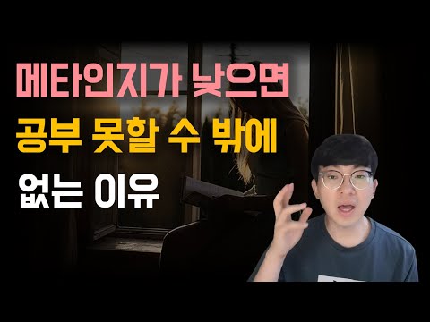 메타인지가 성공에 미치는 영향 | 메타인지가 낮으면 공부 못할 수 밖에 없는 이유