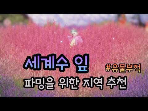 [로스트아크]세계수 잎 파밍을 위한 지역 추천(유물 부적)