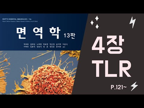 면역학[13판] 4장 TLR l Toll Like Receptor