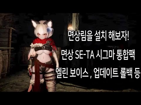 면상 SE-TA 시그마 통합팩을 설치해보자!