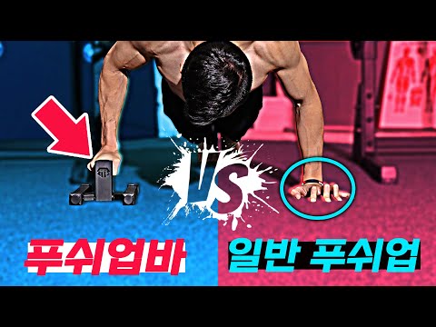 푸쉬업바 vs 일반 푸쉬업! 뭐가 더 힘들까? 초,중,고급자 실험