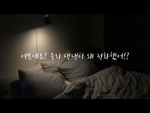 [여자 asmr] 우리 댕댕이 뭐 하는거야? | 남성향asmrㅣ 펨돔멜섭 | 19asmr |