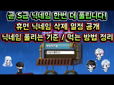 [메이플스토리 맑음] 곧 메이플 S급 닉네임 한번 더 풀립니다! 휴면 닉네임 삭제 일정 공개 / 닉네임 풀리는 기준 / 닉네임 먹는팁 등 정리