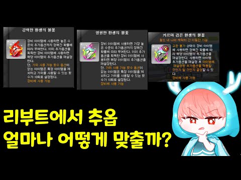 리부트 추가옵션 가이드 [메이플/리부트]