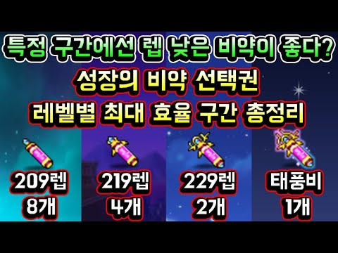 [메이플스토리 맑음] 성장의 비약 선택권 레벨별 최대 효율 구간 총정리 / 특정 구간에선 레벨 낮은 비약이 더 좋다?