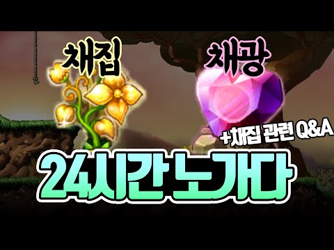 메이플 채집, 채광 24시간 노가다! + 9가지 채집 관련 Q&A