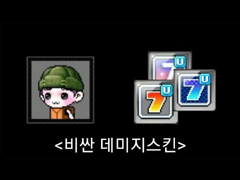 메이플 돈버는법 - 비싼 데미지스킨