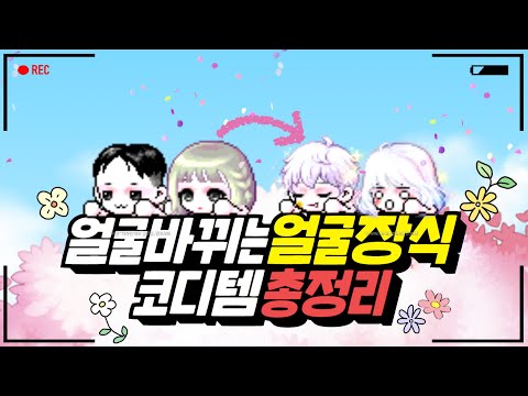 메이플 캐시 코디템 얼굴 바뀌는 '얼굴장식' 총 정리[메이플스토리, 노우주]