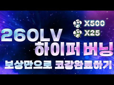 윈브 260하이퍼버닝 코강 가이드