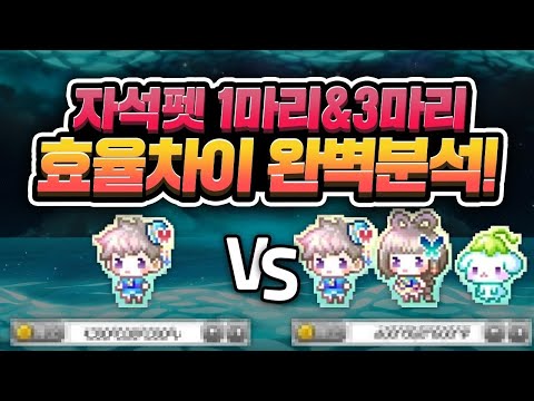 자석펫 1마리 vs 3마리 효율차이 완벽분석!  (메이플,자석펫)