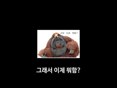 [리부트] 뉴비들을 위한 재획비 공략