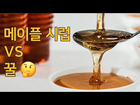 꿀 VS 메이플시럽