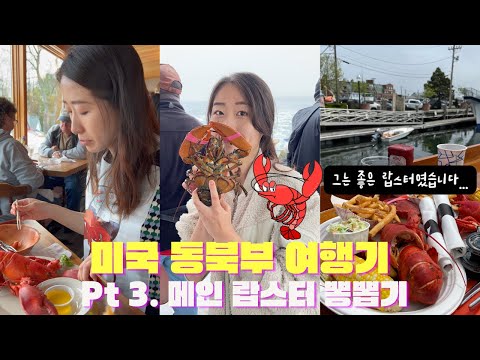 🇺🇸미국 메인주여행ㅣ랍스터덕후의 랍스터먹방+낚시배 체험🦞그리고 아카디아 국립공원 투어 폭망🥲