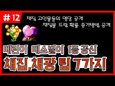 메이플 메린이 메소벌이 1등. 채집에 대한 7가지 사실