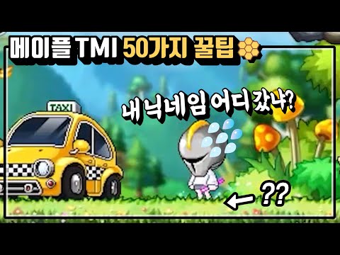 나만 모르는 메이플 꿀팁 50개! [메이플/컨셉킹]