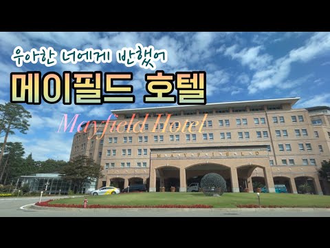 메이필드 호텔 숙박리뷰. 룸, 수영장, 정원, 룸서비스, 조식. 서울 방화동 김포공항 근처호텔.