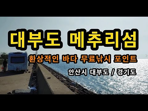 [안산]_ 대부도 메추리섬 / 무료 바다낚시 포인트 / 환상적인 바다 캠핑장 / 경기도 안산시 단원구 영흥도 선재도