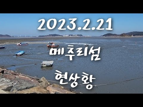 메추리섬 현제 상황