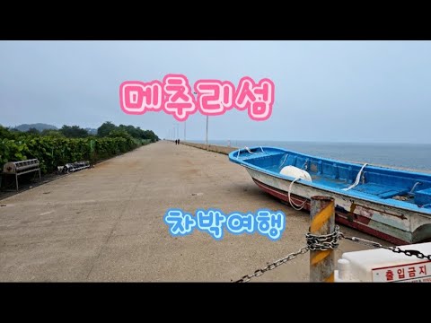 [차박여행]메추리섬/차박/차박지/차박여행/무료차박/차박캠핑