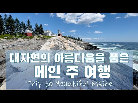 미국 여행 | 아름다운 바다와 숲이 우거진 메인 주 여행 Trip to Beautiful Maine