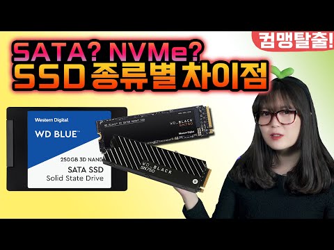 SSD 종류별 차이점! SATA? NVMe? SSD 종류를 잘 알아보고 구매하자[브로리퀘스트]