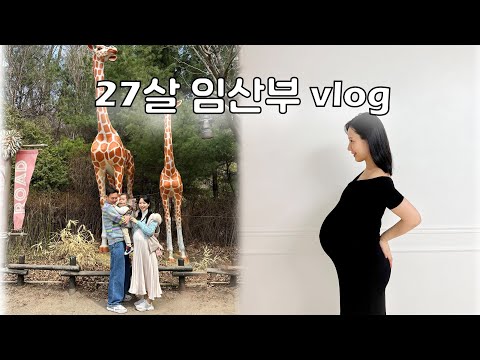 [vlog] 27살 임산부 일상 | 임신 30~37주, 출산 가방, 에버랜드, 가평양떼목장, 16개월 아기