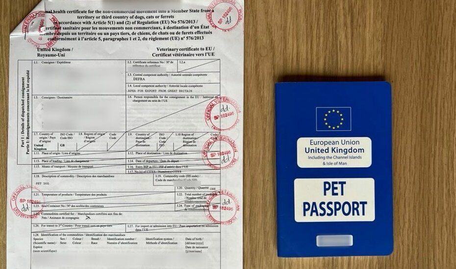 Brexit: How Has Pet Travel To Eu Countries Been Affected? - Bbc News