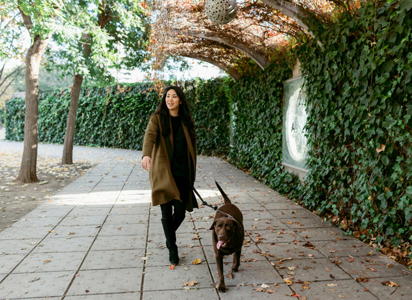 Dog Walking 101: How Often Should You Walk Your Dog · The Wildest